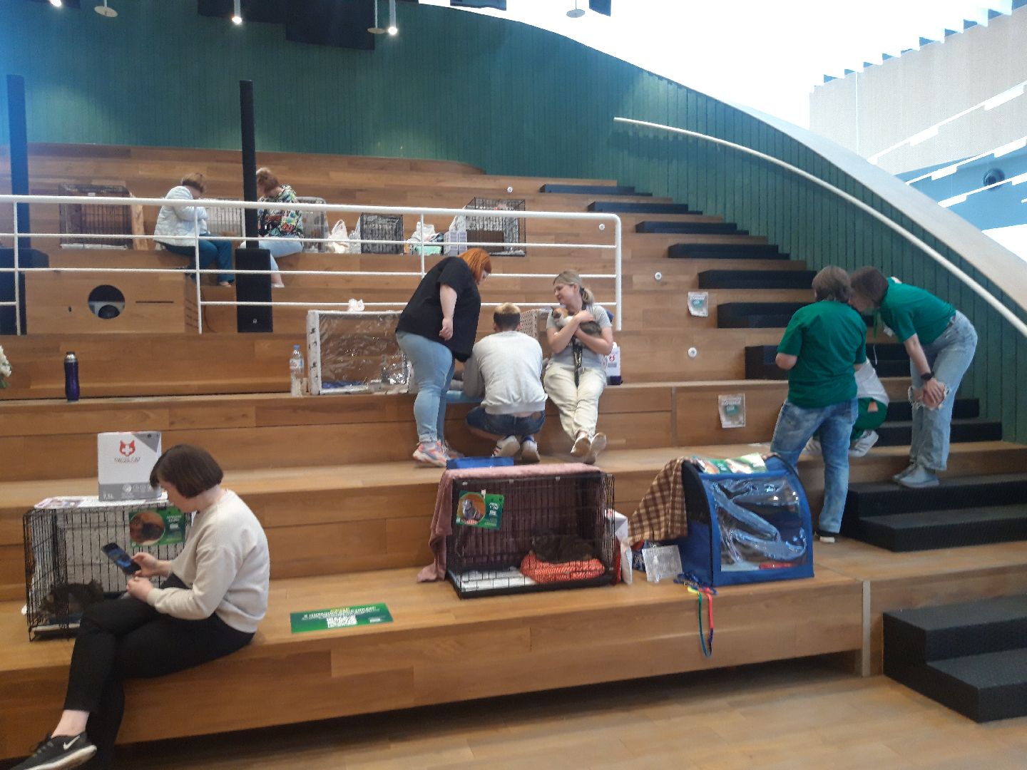 доброе дело, волонтеры,