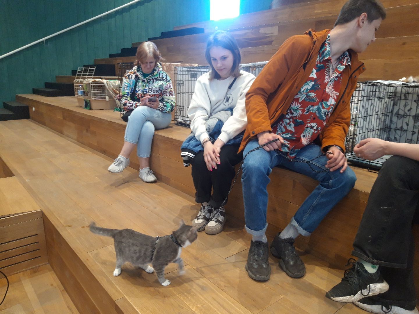 доброе дело, волонтеры,