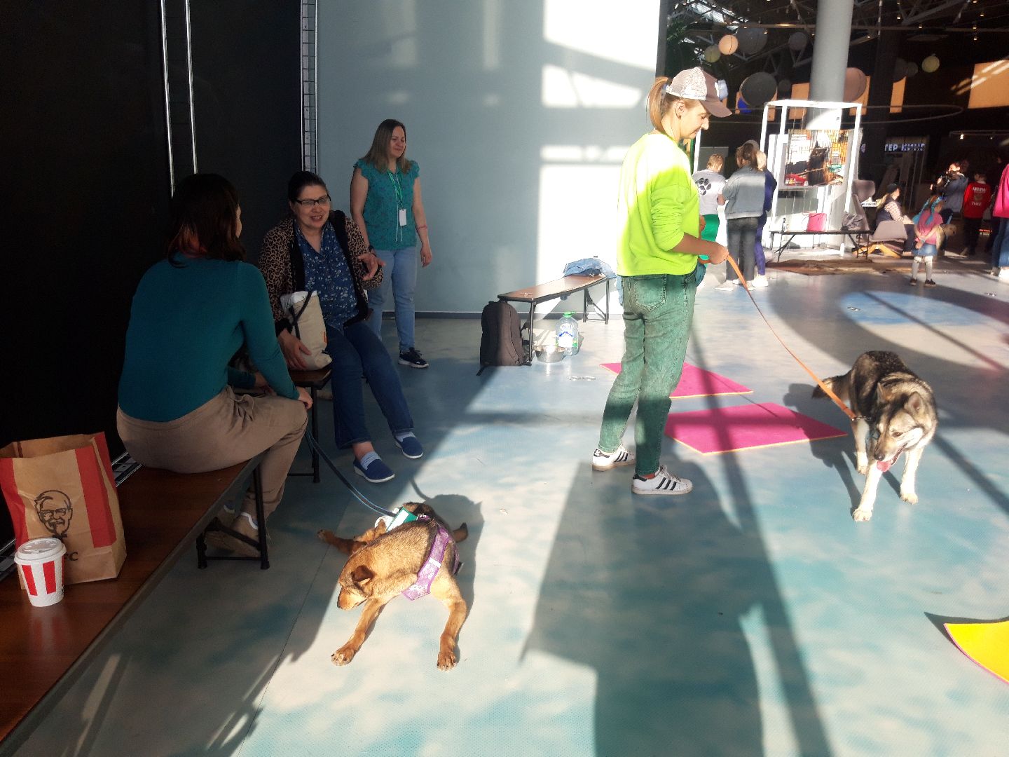 доброе дело, волонтеры,