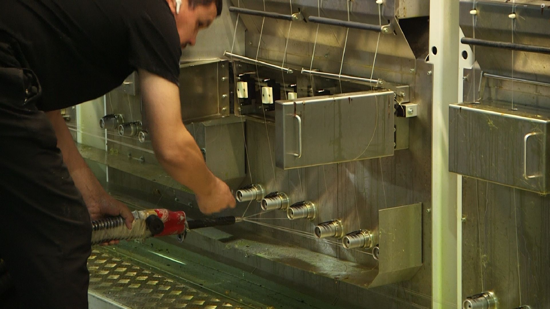 Дмитров, Роялтафт, ковровая фабрика