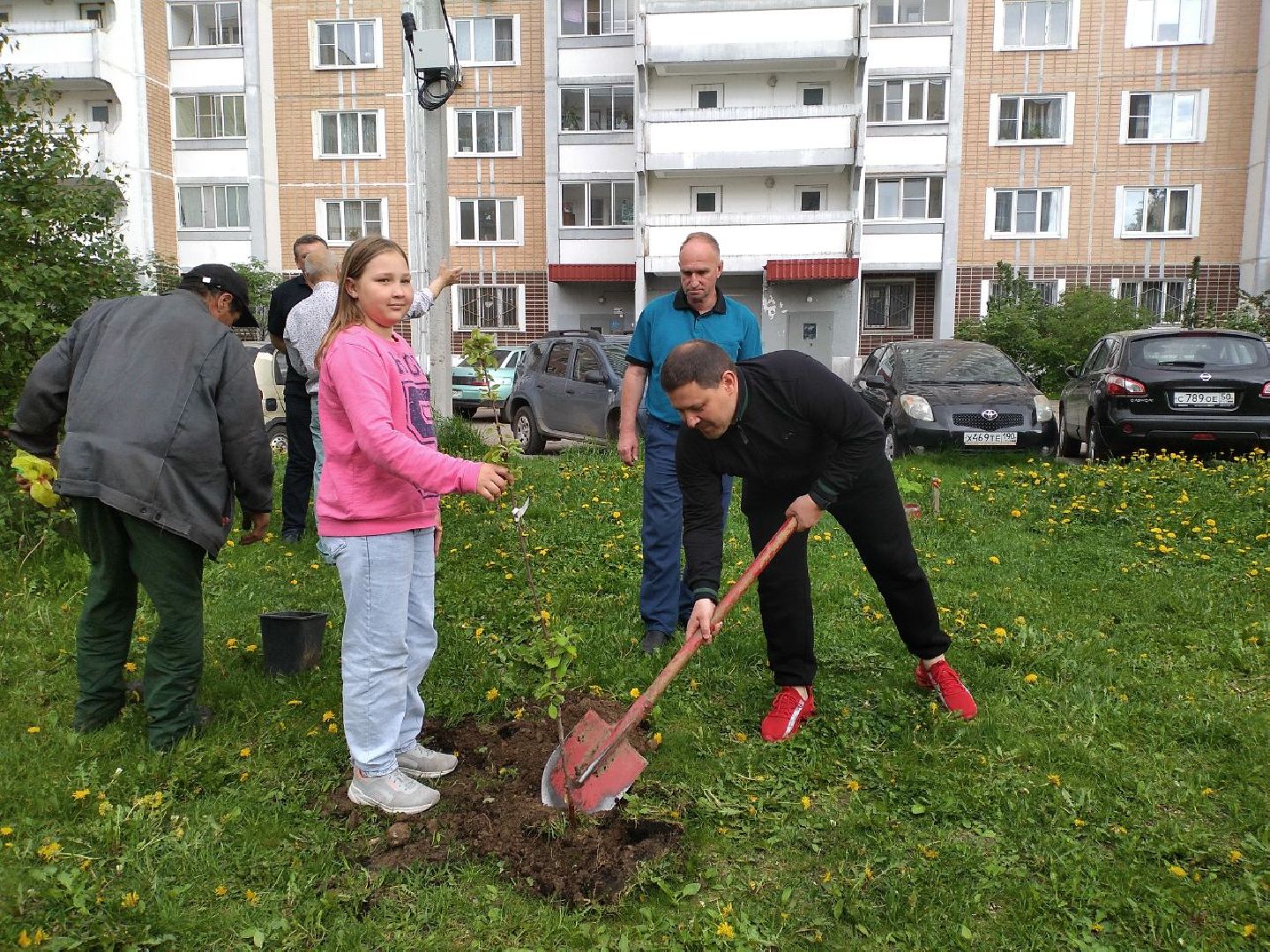 праздник, День соседей, управляющая компания, посадили саженцы, яблоня, Лосино-Петровский