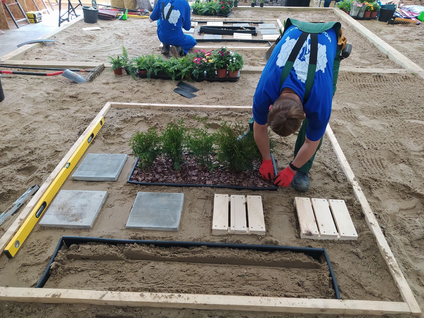 Ландшафт, дизайн, Абилимпикс, чемпионат