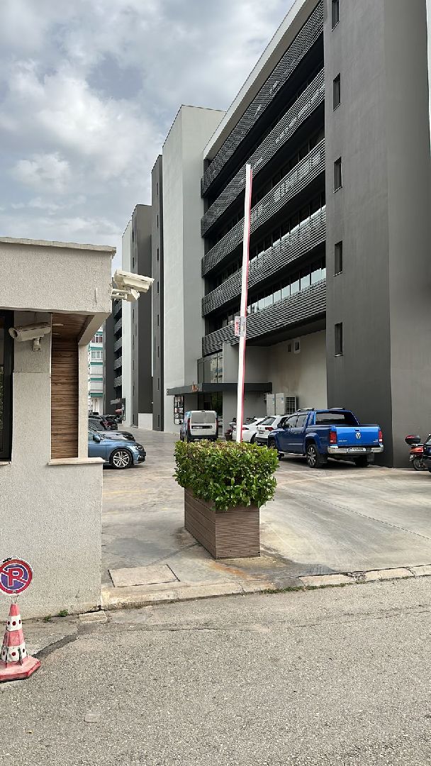 Красноармейск, Пушкинский, бизнес, экономические связи, Россия - Турция