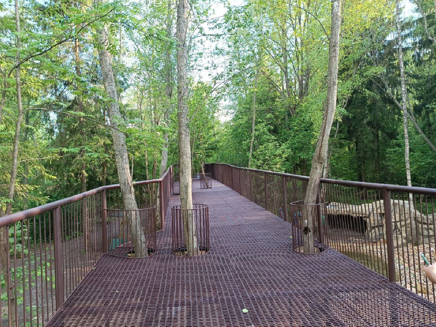 Можайск, Можайский городской округ, Подмосковье, тигр, лев, ягуар, сафари-парк, парк тигров