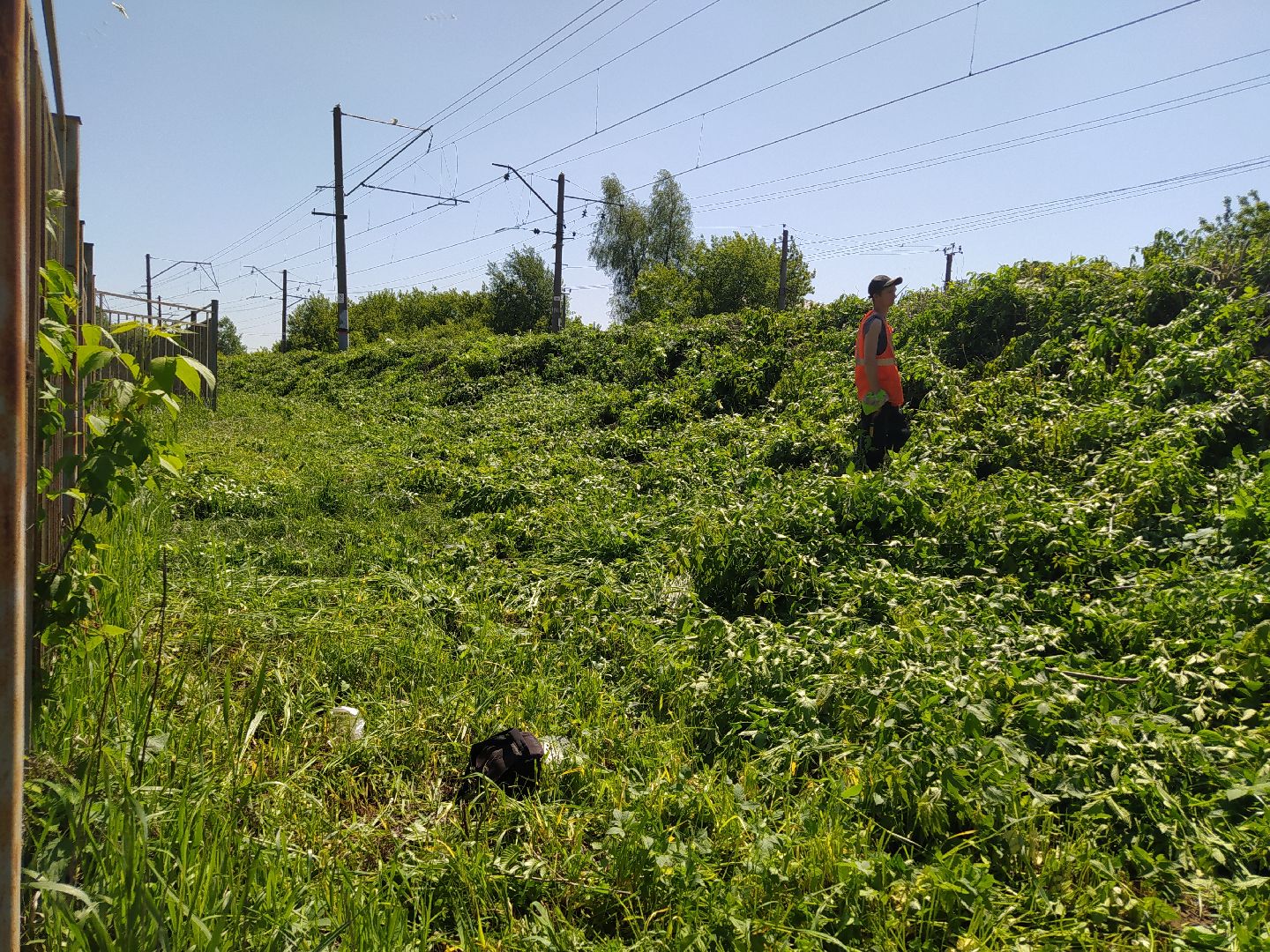 Дорога, покос, трава, сорняки, уход