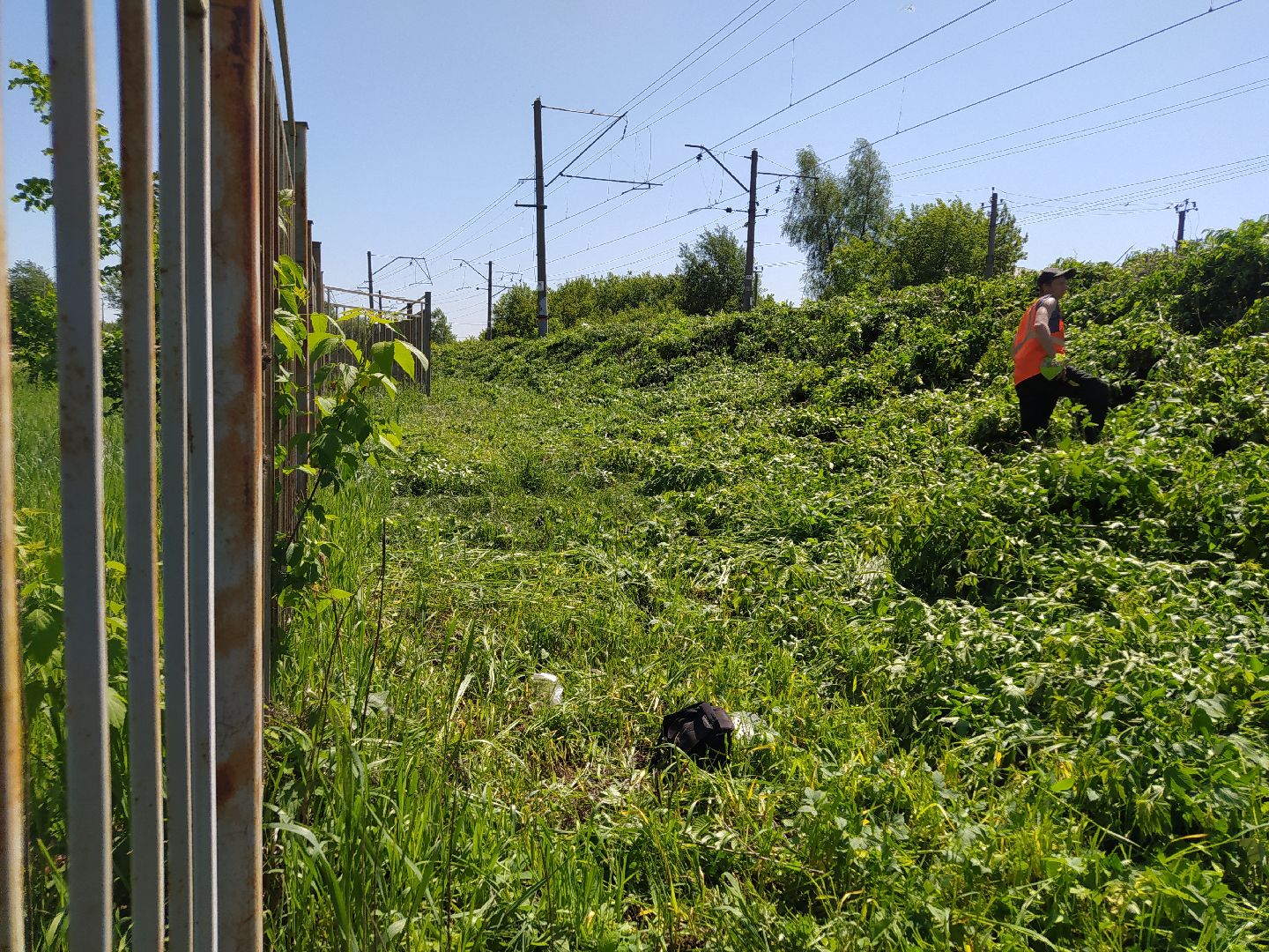 Дорога, покос, трава, сорняки, уход