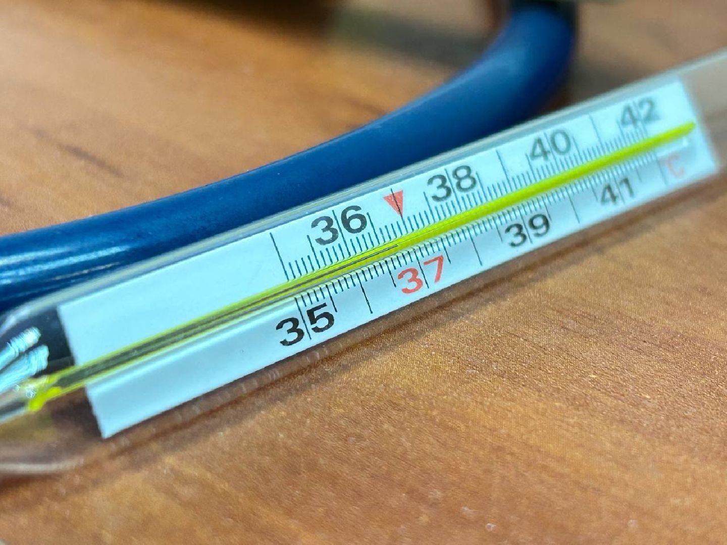 Подольск, диспансеризация