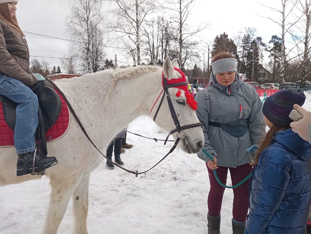 Масленица, гуляния, Щёлково, Загорянский, дрова, боулинг, матрёшки
