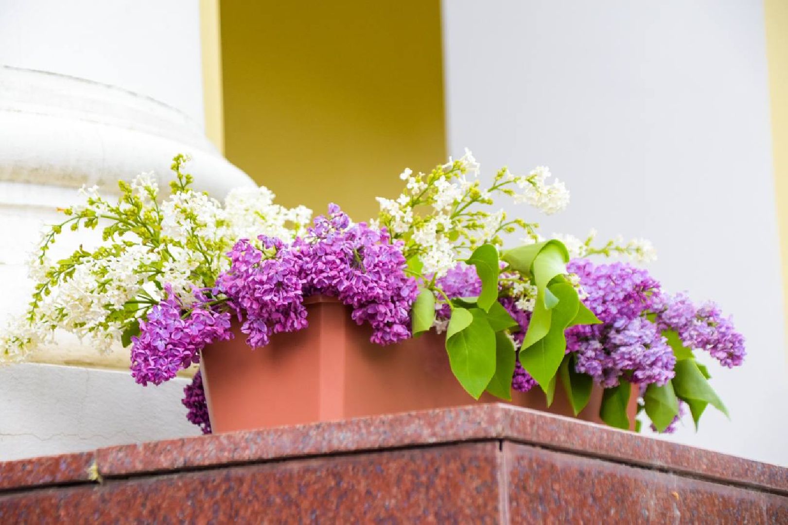 Подольск, фестиваль