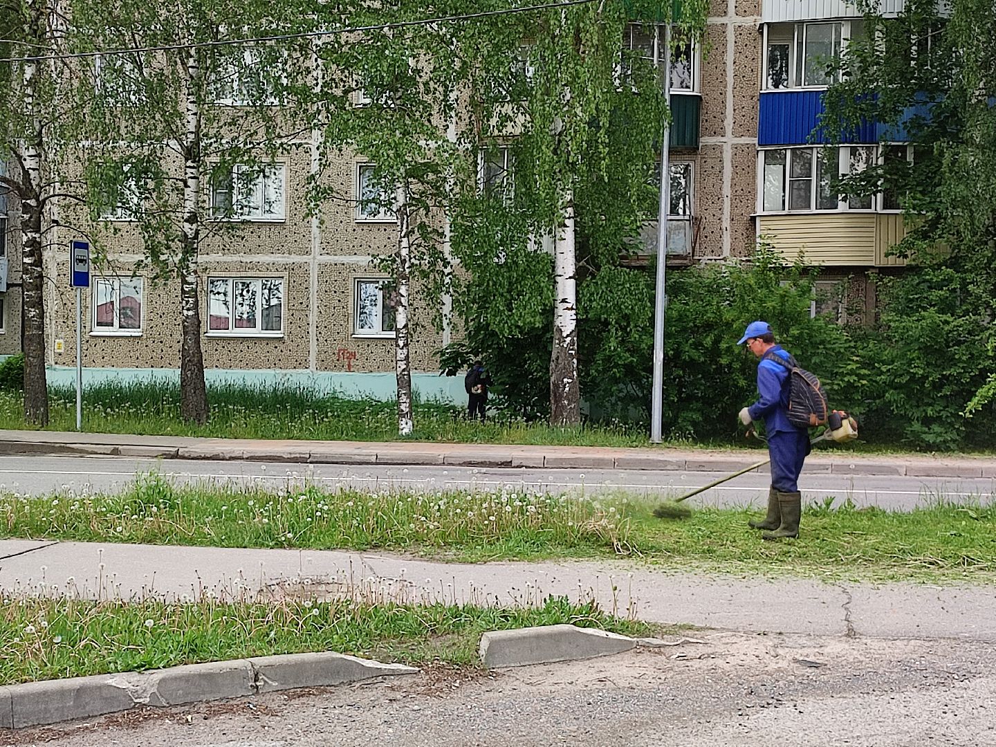 #благоустройство, #Талдом, #окружающаясреда, #уборкатерритории, #покостравы