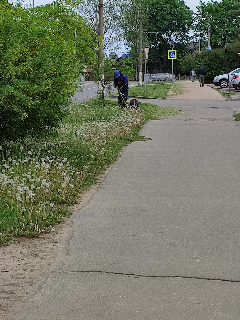 #благоустройство, #Талдом, #окружающаясреда, #уборкатерритории, #покостравы