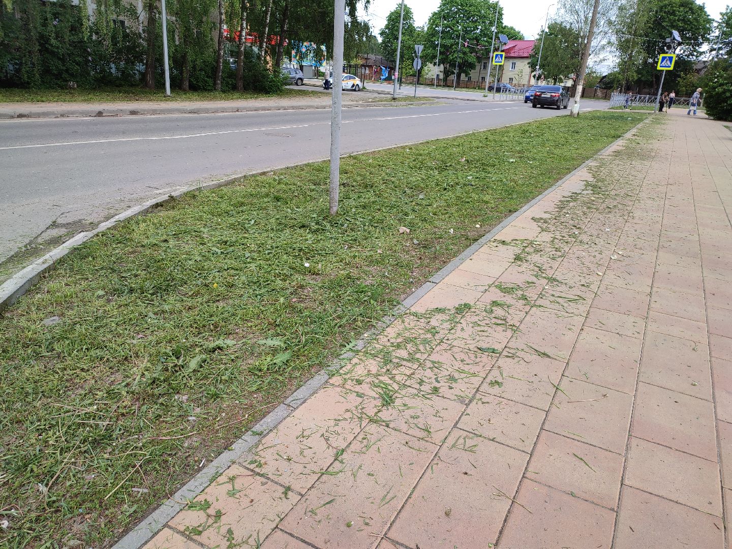 #благоустройство, #Талдом, #окружающаясреда, #уборкатерритории, #покостравы