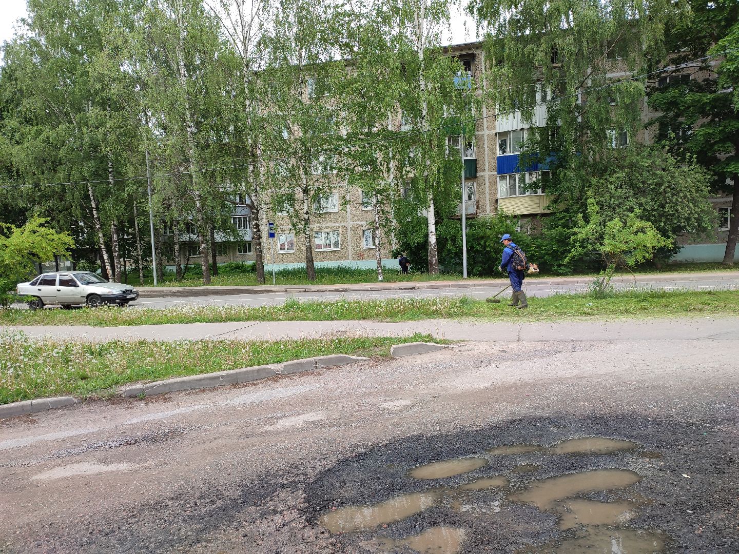 #благоустройство, #Талдом, #окружающаясреда, #уборкатерритории, #покостравы