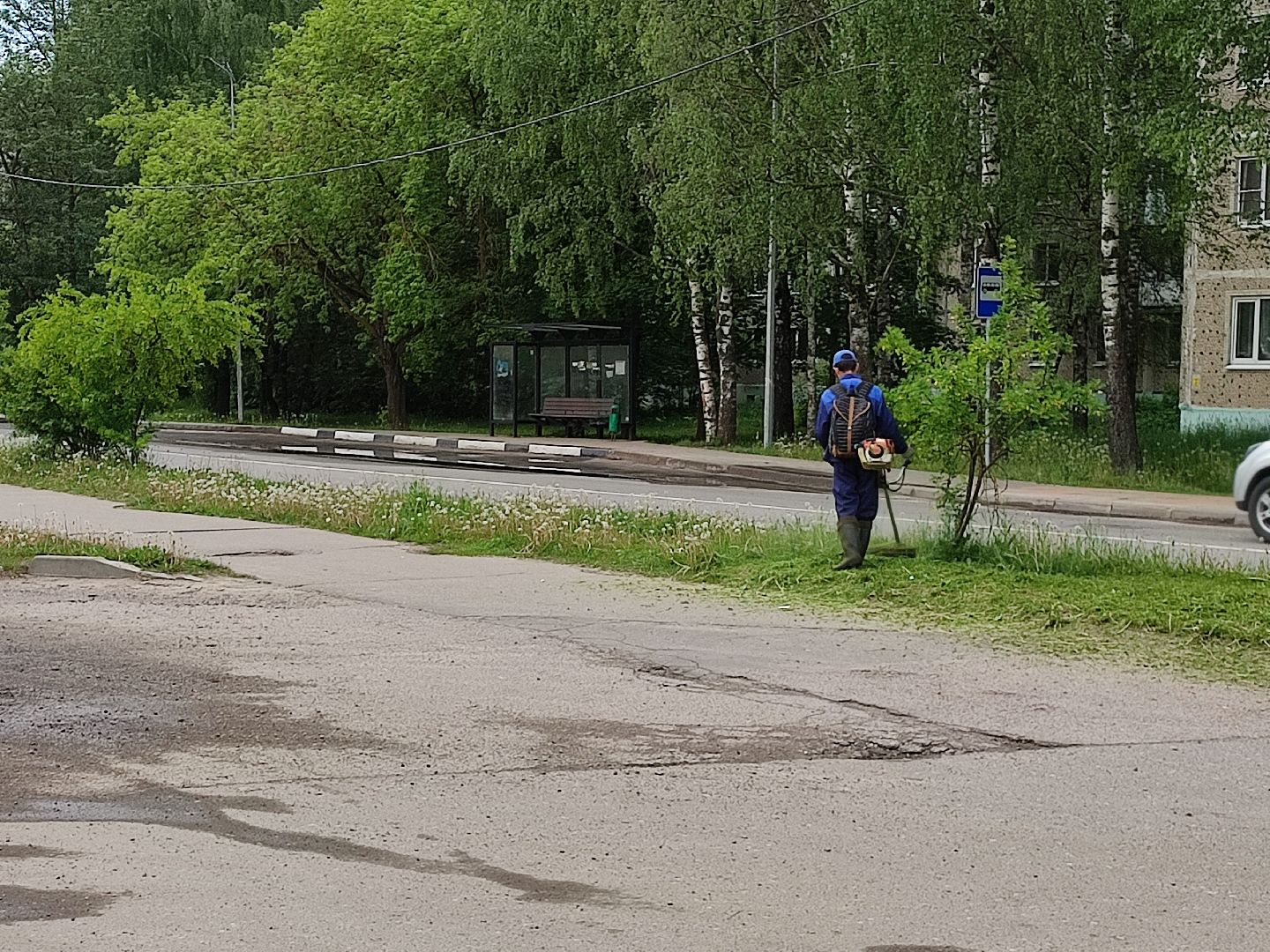 #благоустройство, #Талдом, #окружающаясреда, #уборкатерритории, #покостравы