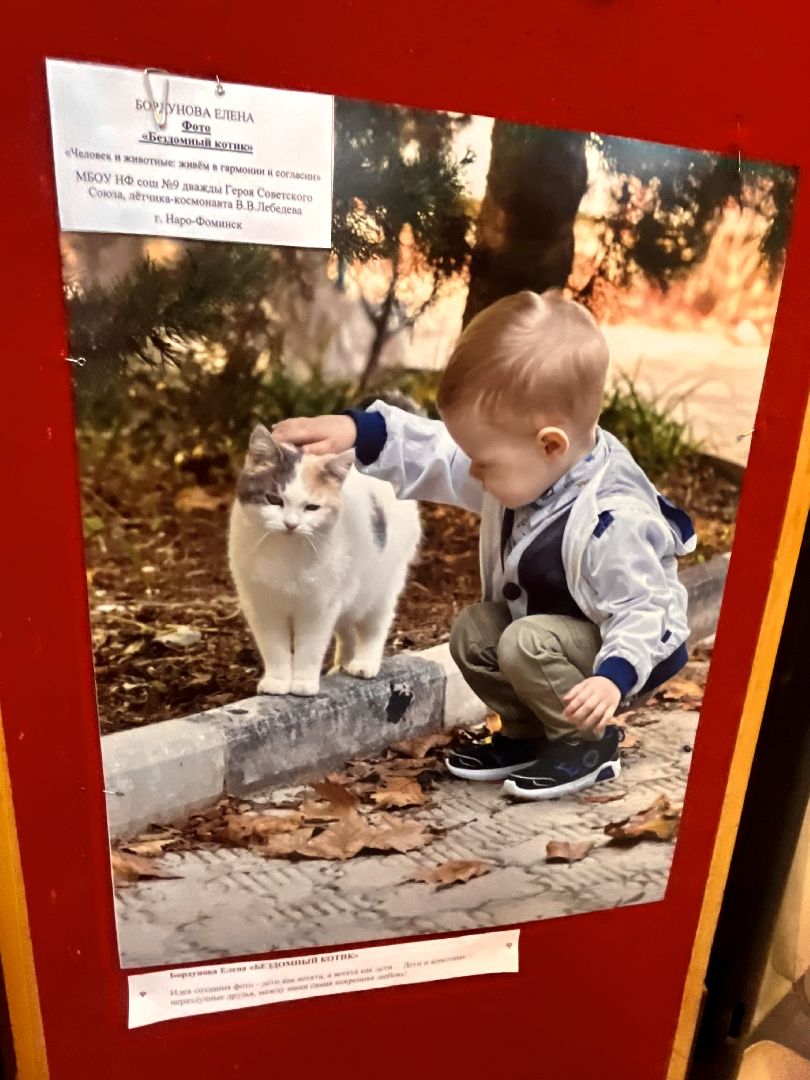 Наро-Фоминск, экология, защитим природу, экологический рисунок, конкурс, экологический отдел, чистое Подмосковье