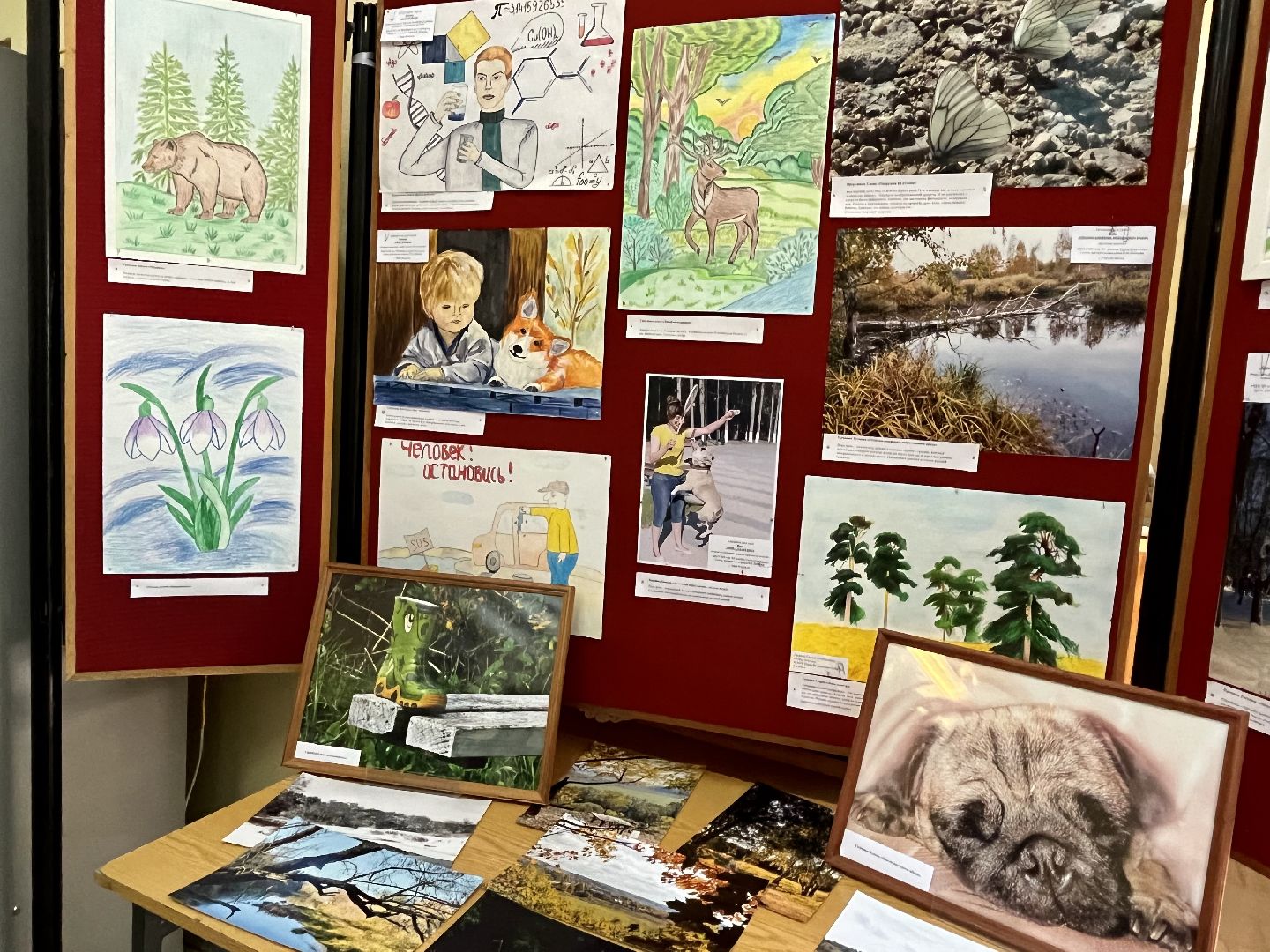 Наро-Фоминск, экология, защитим природу, экологический рисунок, конкурс, экологический отдел, чистое Подмосковье