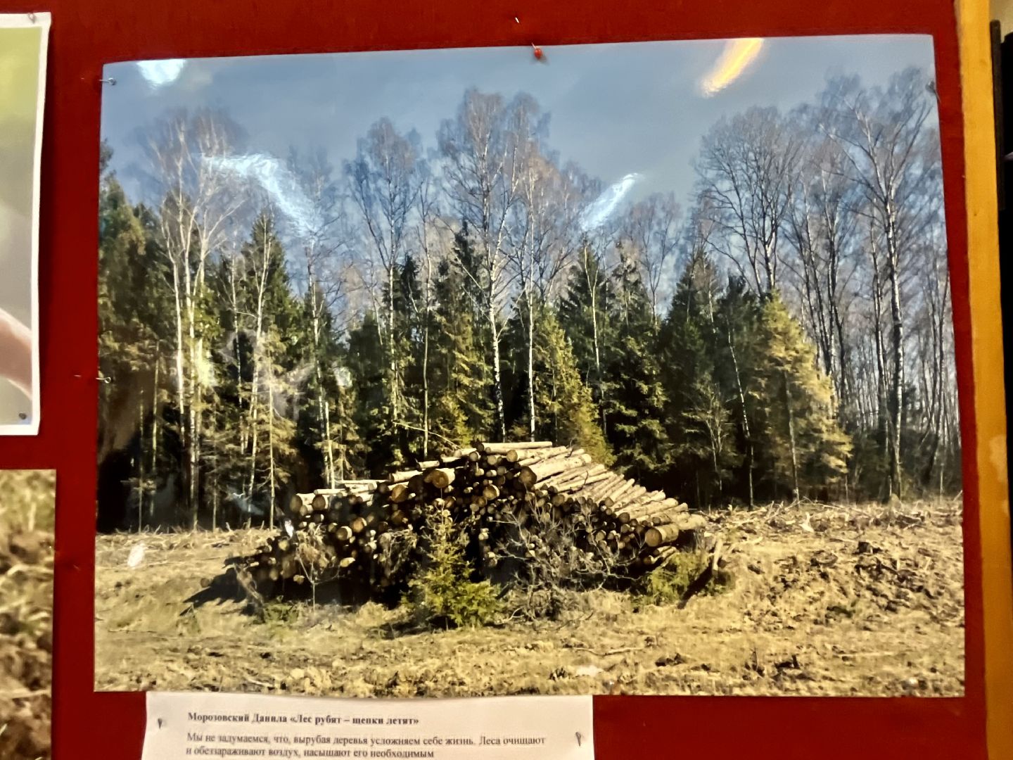 Наро-Фоминск, экология, защитим природу, экологический рисунок, конкурс, экологический отдел, чистое Подмосковье