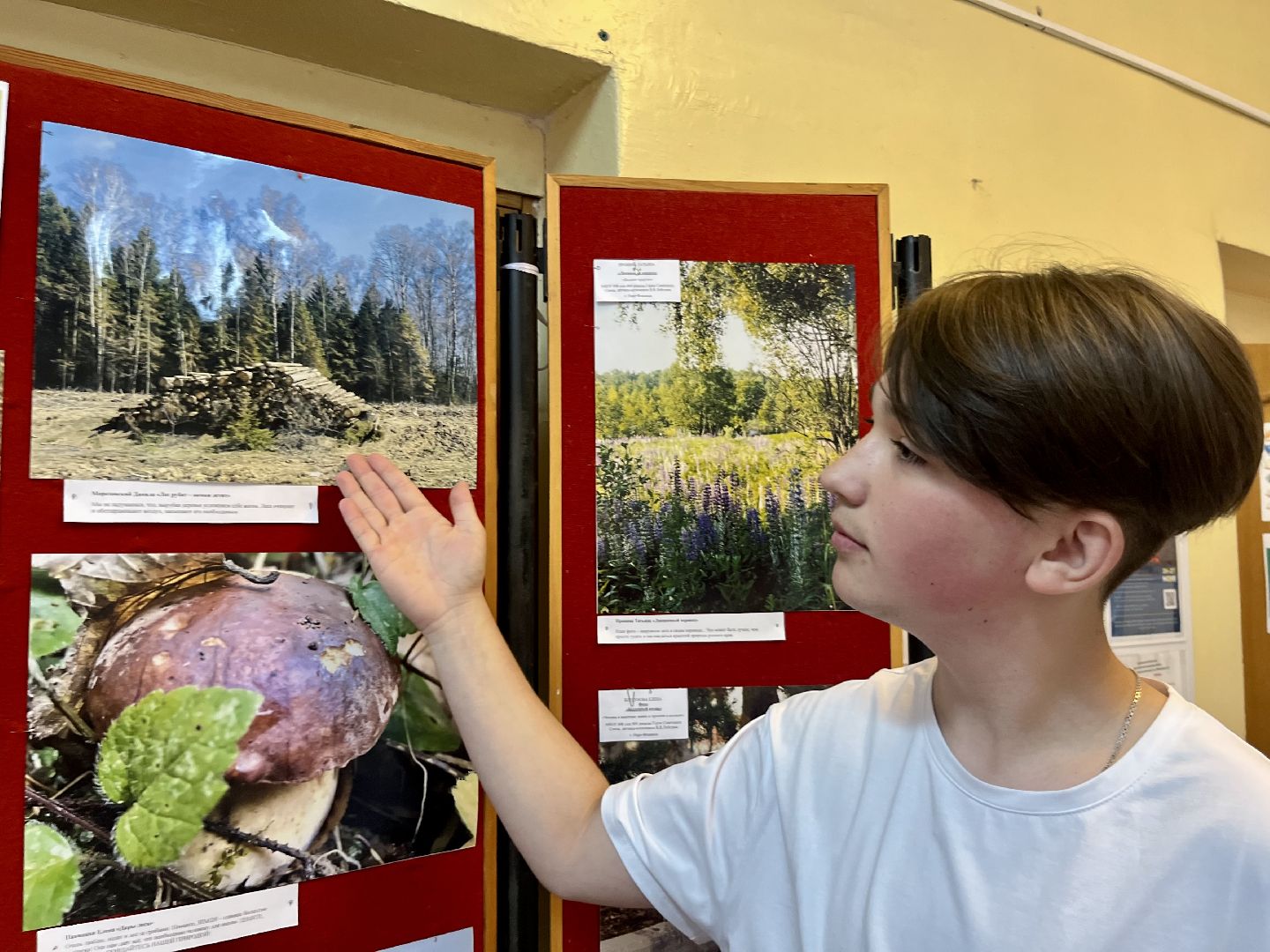 Наро-Фоминск, экология, защитим природу, экологический рисунок, конкурс, экологический отдел, чистое Подмосковье