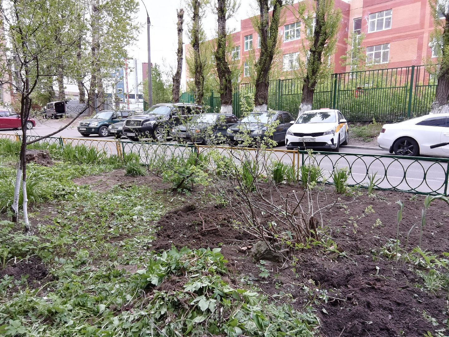 Балашиха, ЖКХ, благоустройство, клумба