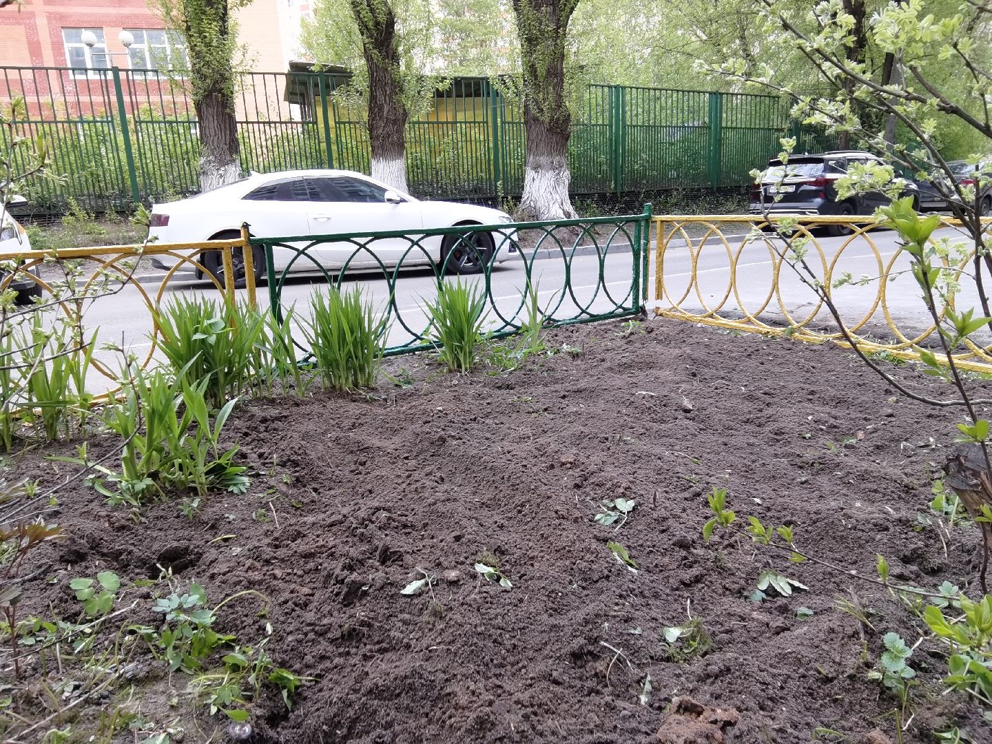 Балашиха, ЖКХ, благоустройство, клумба