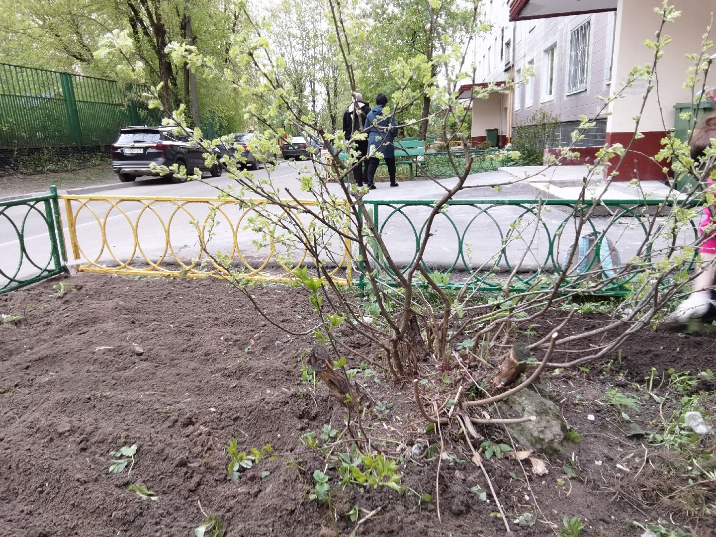 Балашиха, ЖКХ, благоустройство, клумба