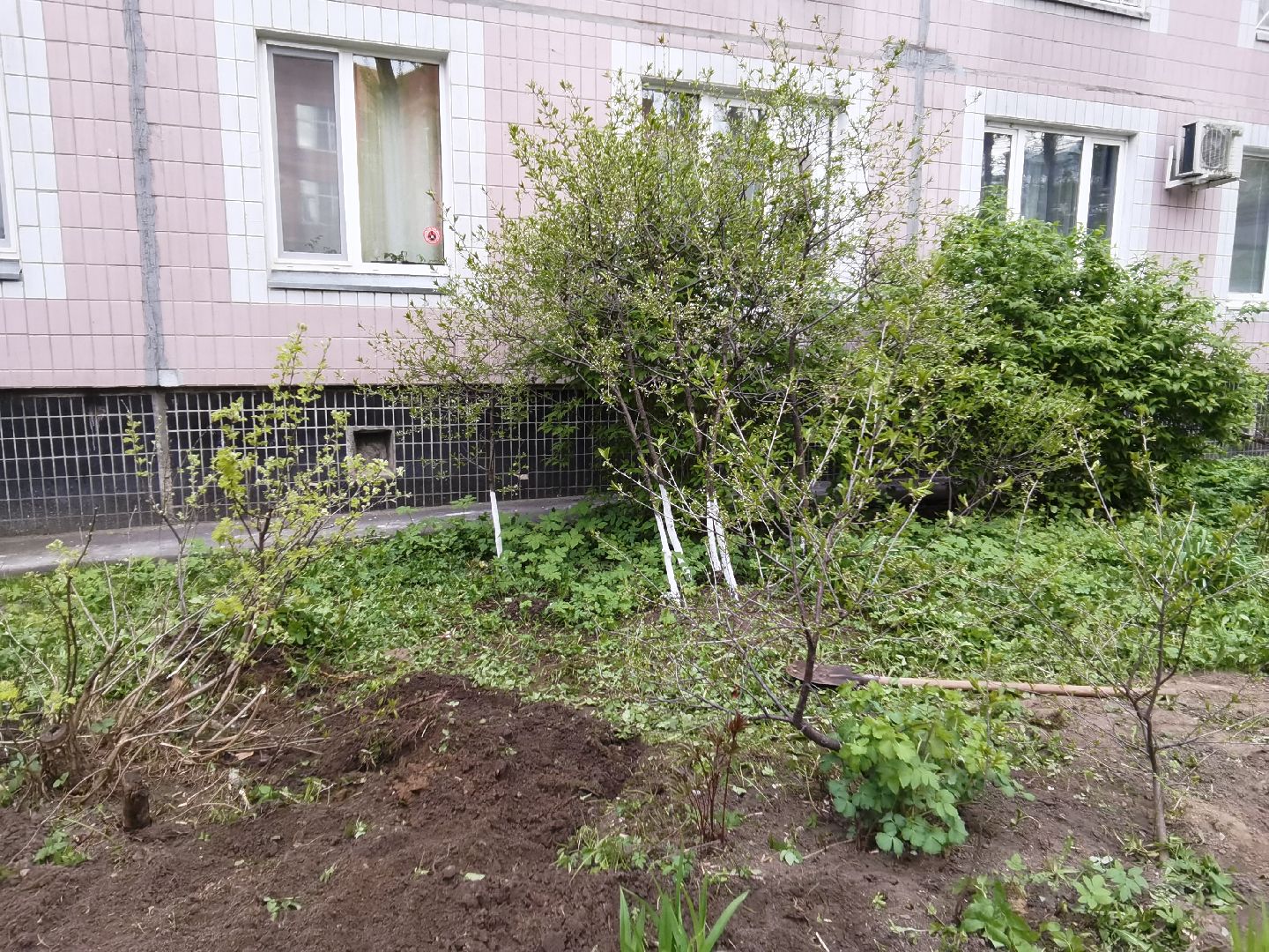 Балашиха, ЖКХ, благоустройство, клумба