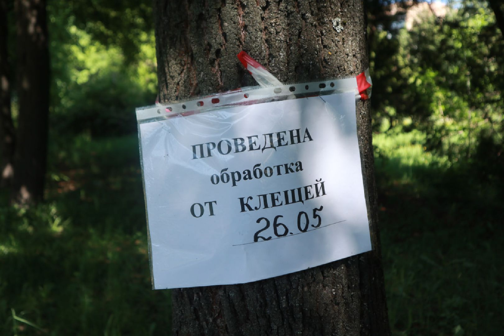 Пущино, благоустройство, экология