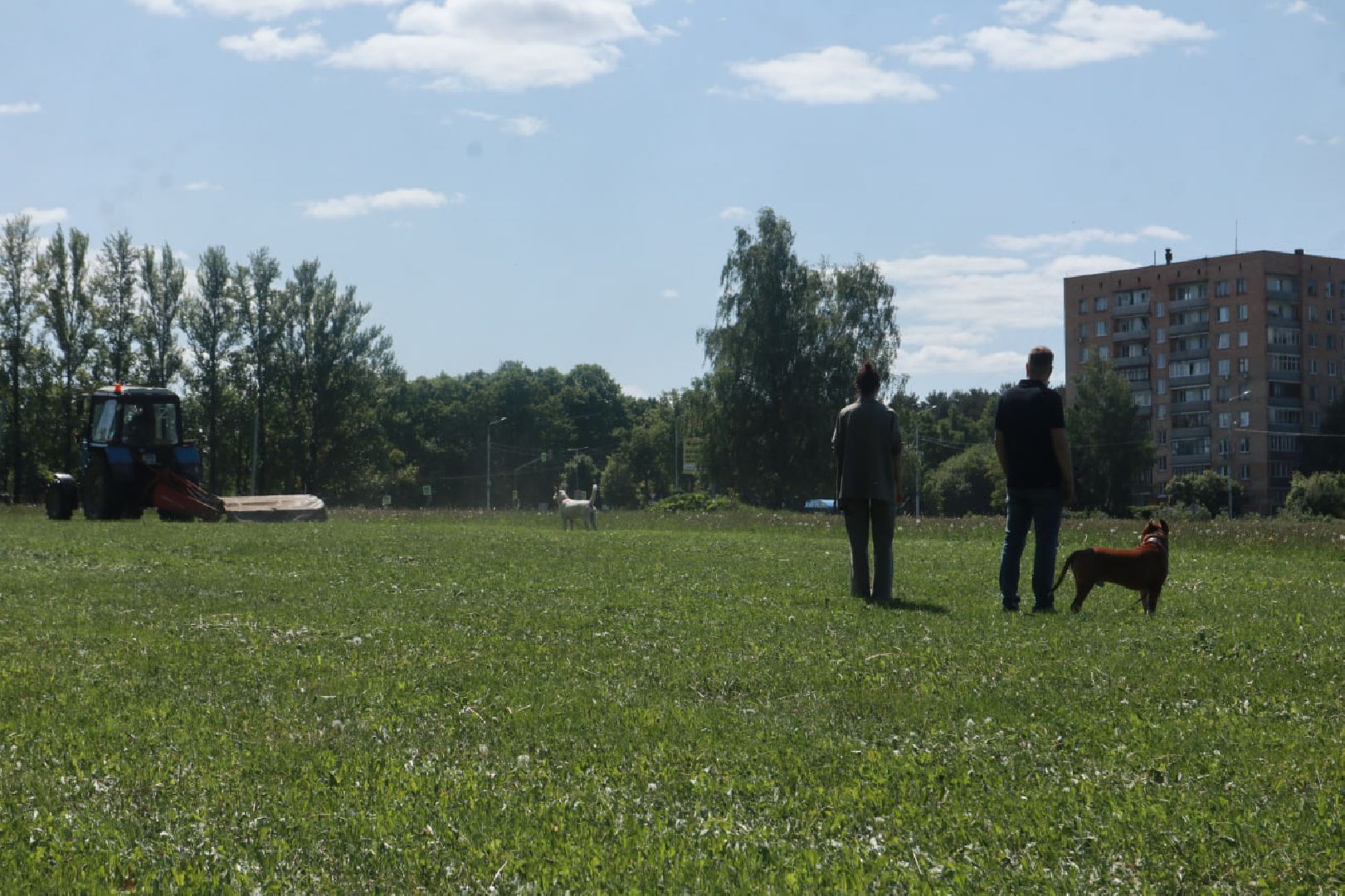 Пущино, благоустройство, экология