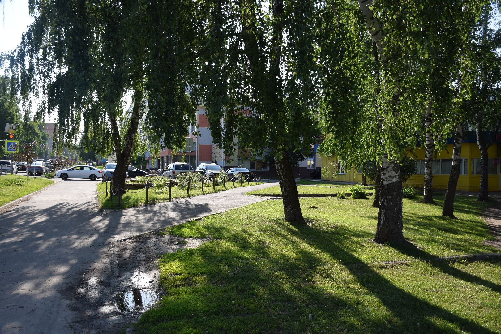 Павловский Посад, городской округ Павловский Посад, покос травы, клумба, благоустройство