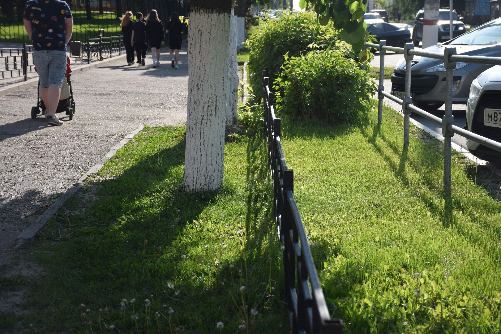 Павловский Посад, городской округ Павловский Посад, покос травы, клумба, благоустройство