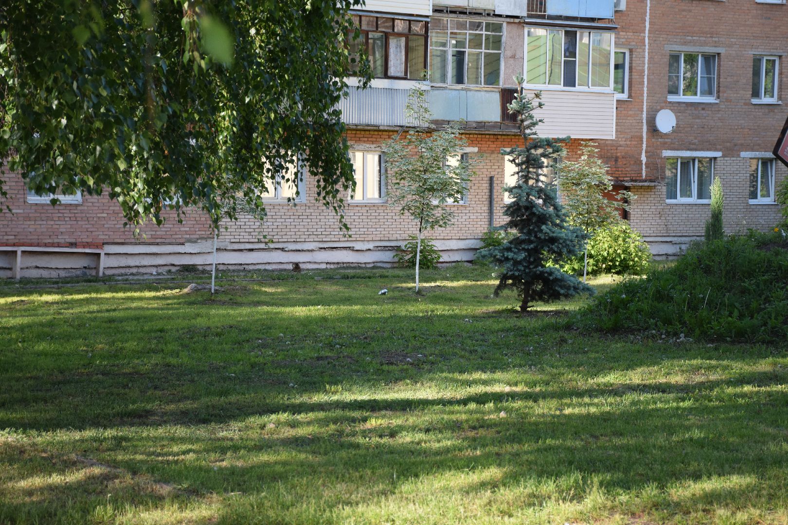 Павловский Посад, городской округ Павловский Посад, покос травы, клумба, благоустройство