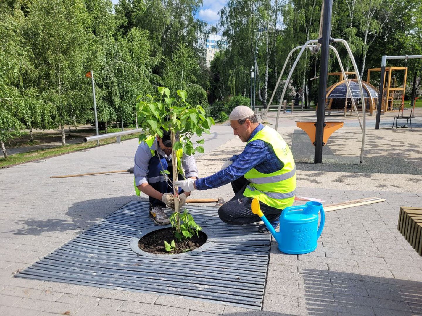 деревья; жкх; видное; благоустройство; вандализм