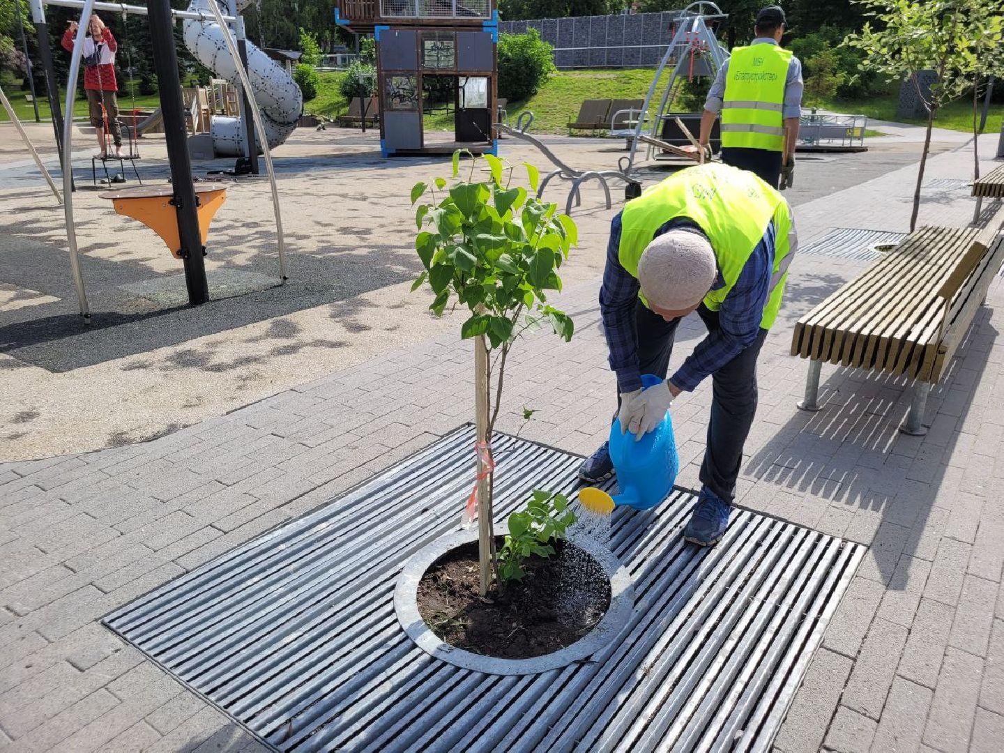 деревья; жкх; видное; благоустройство; вандализм
