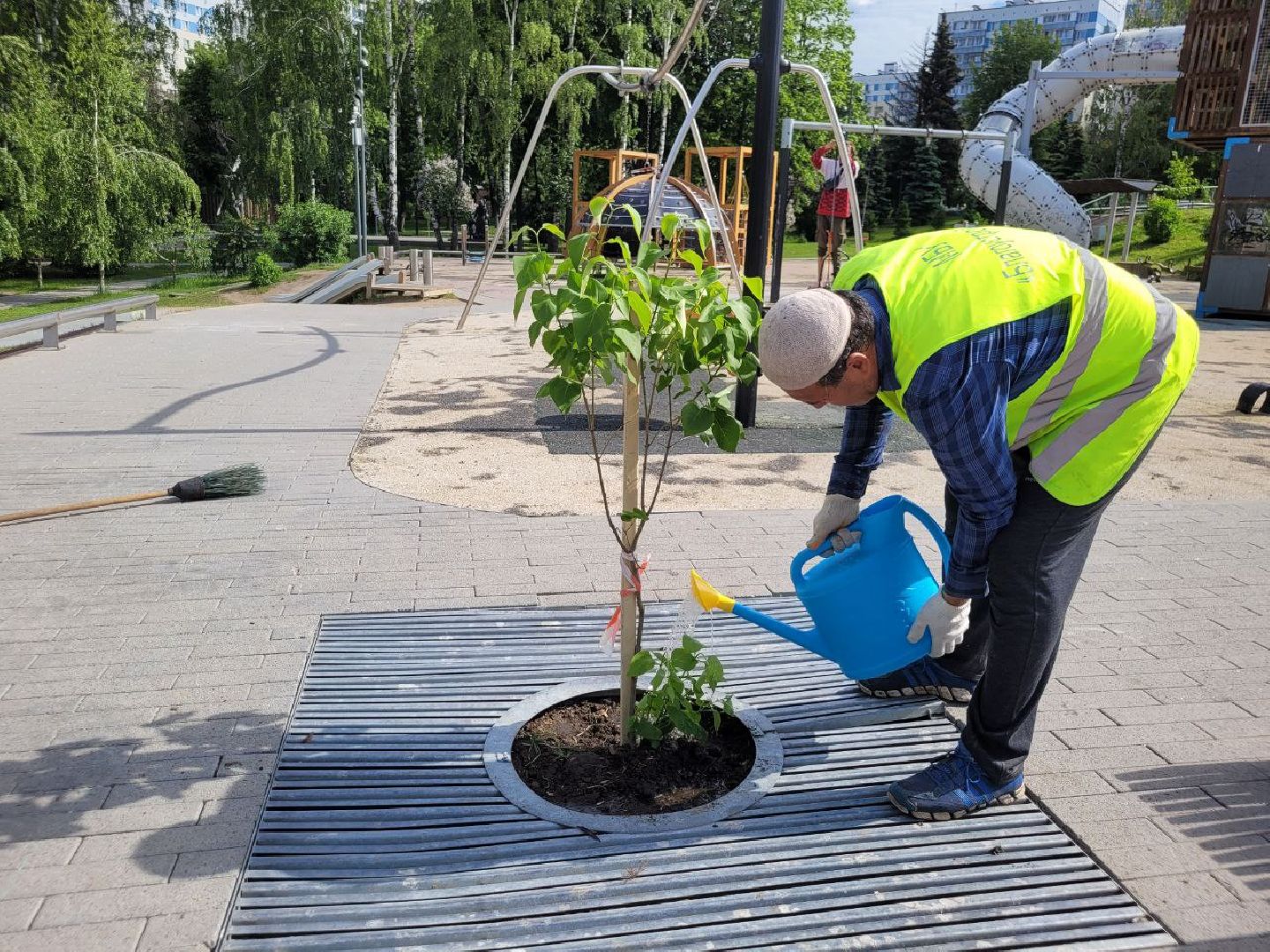 деревья; жкх; видное; благоустройство; вандализм