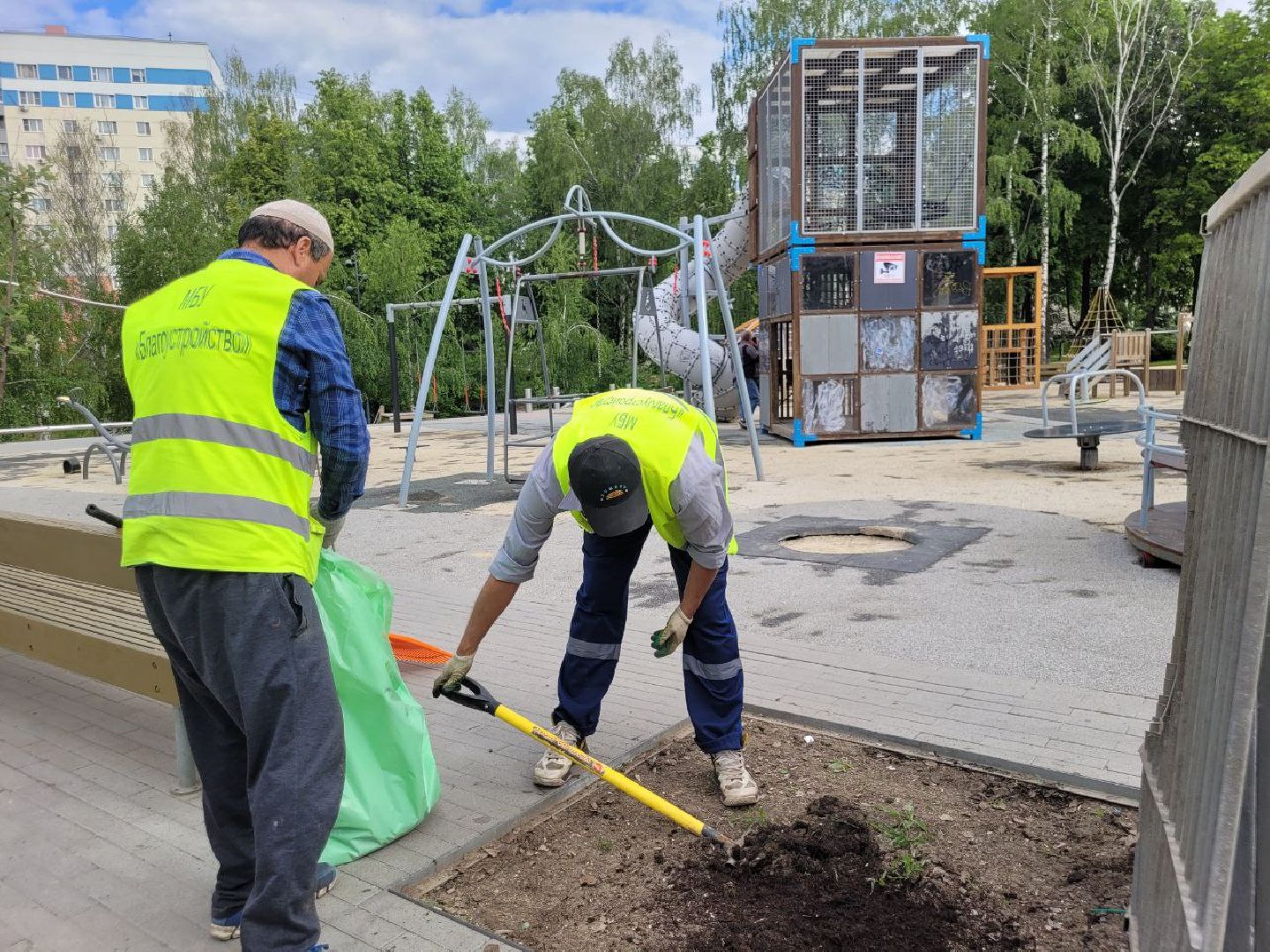 деревья; жкх; видное; благоустройство; вандализм
