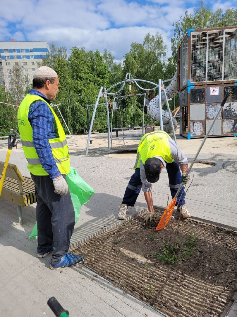 деревья; жкх; видное; благоустройство; вандализм