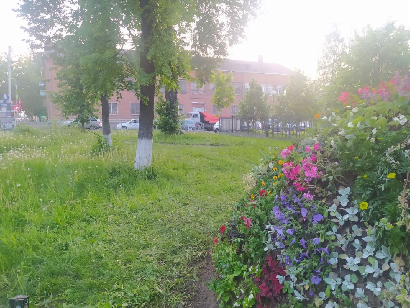 Истра, букет, цветы, благоустройство