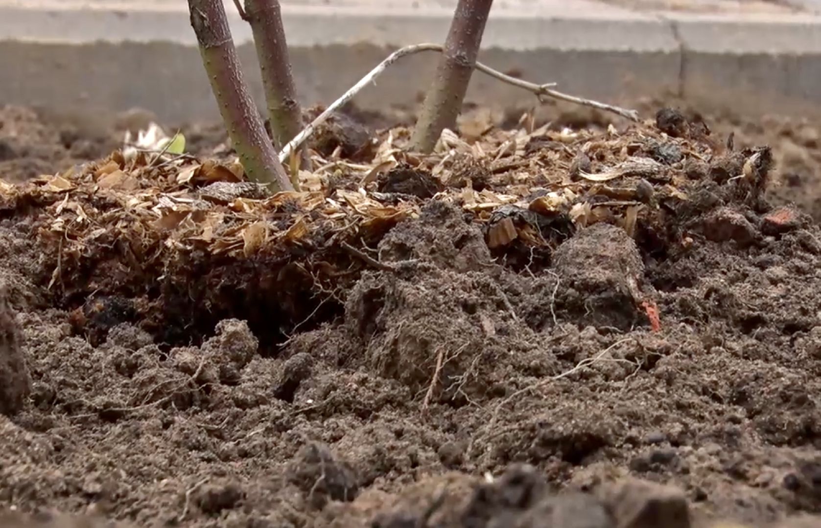 Клин, благоустройство, общество, новое пространство