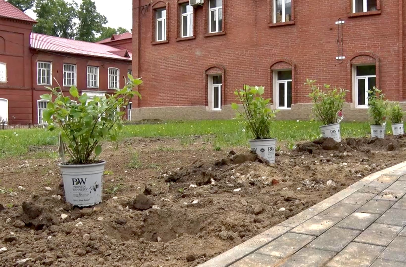 Клин, благоустройство, общество, новое пространство