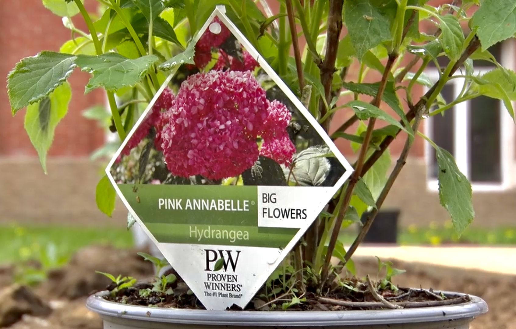 Клин, благоустройство, общество, новое пространство