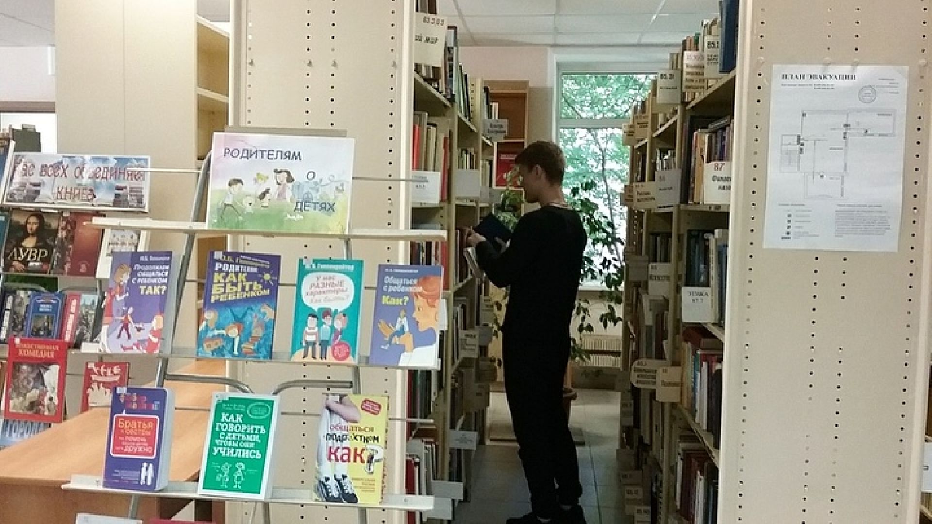 работа, трудоустройство, школьники,