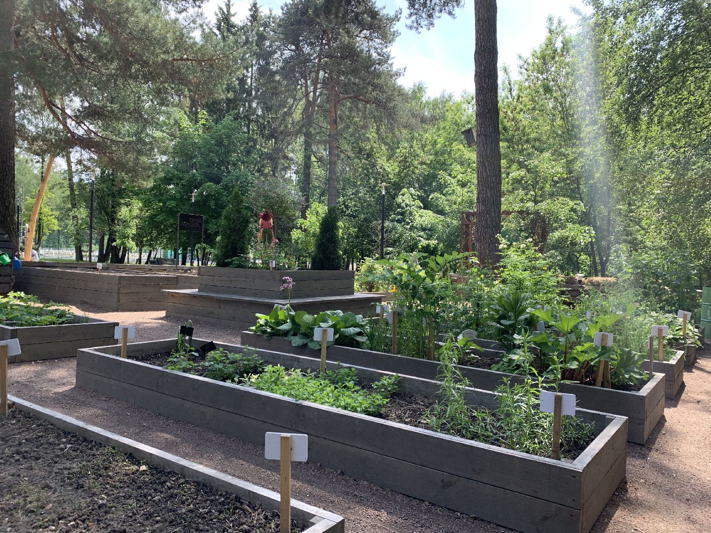 Балашиха, Подмосковье, благоустройство,Общественный огород, парки