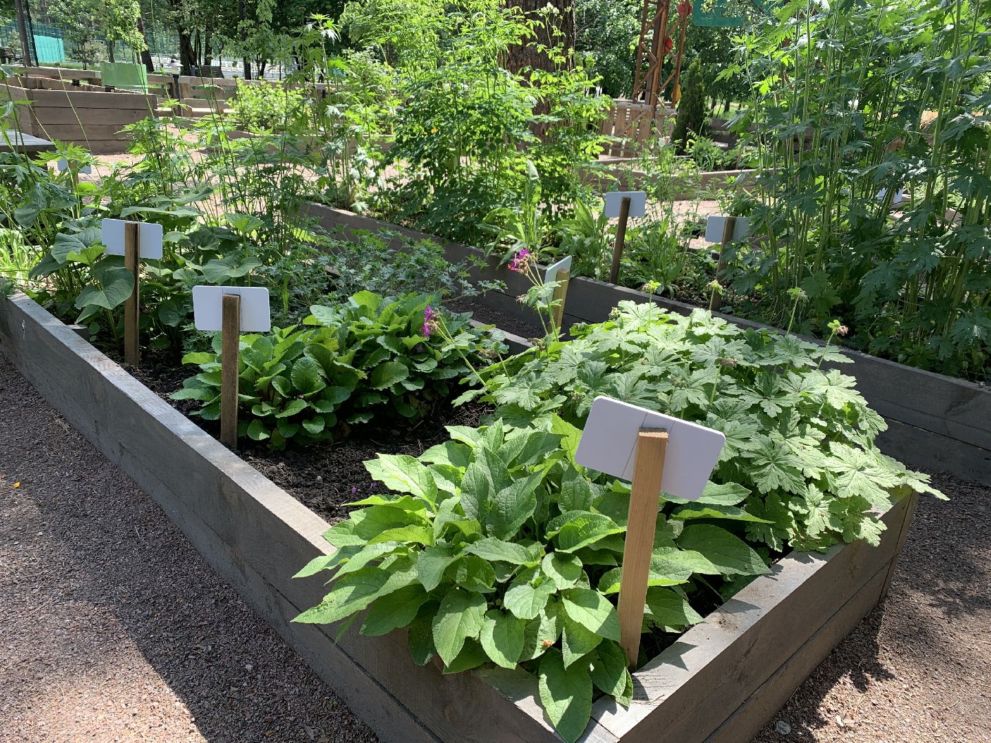 Балашиха, Подмосковье, благоустройство,Общественный огород, парки