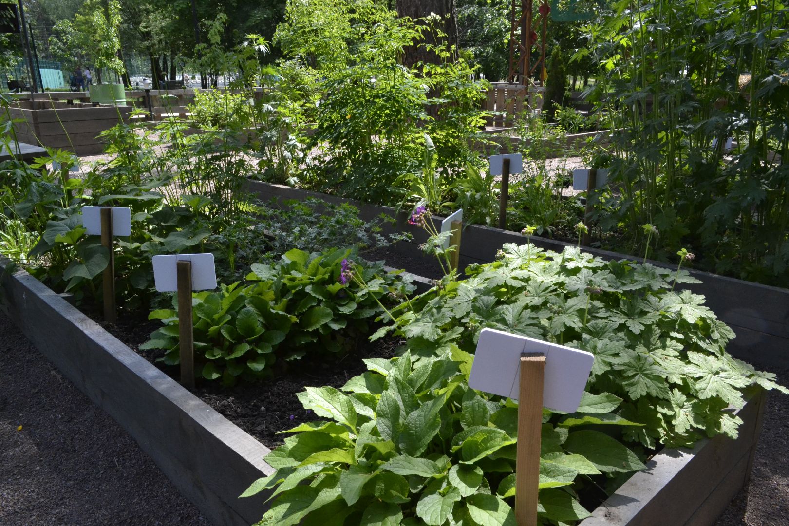 Балашиха, Подмосковье, благоустройство,Общественный огород, парки