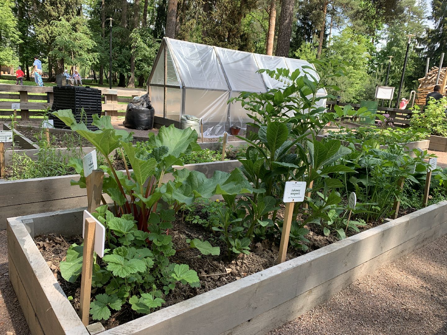 Балашиха, Подмосковье, благоустройство,Общественный огород, парки