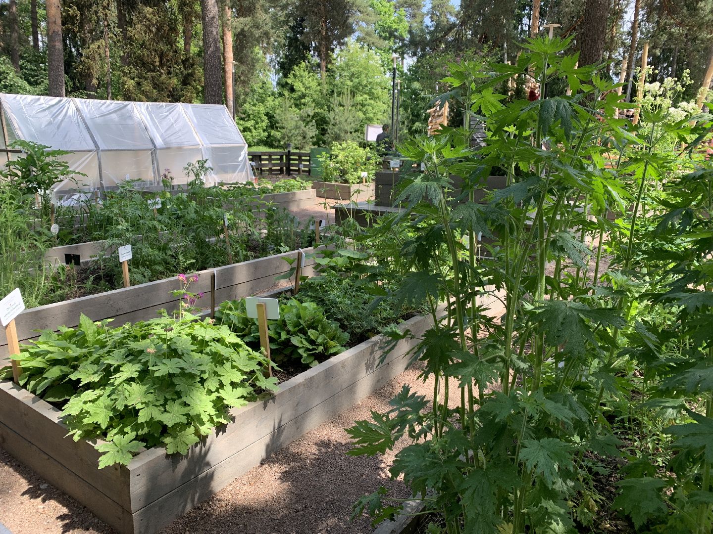 Балашиха, Подмосковье, благоустройство,Общественный огород, парки