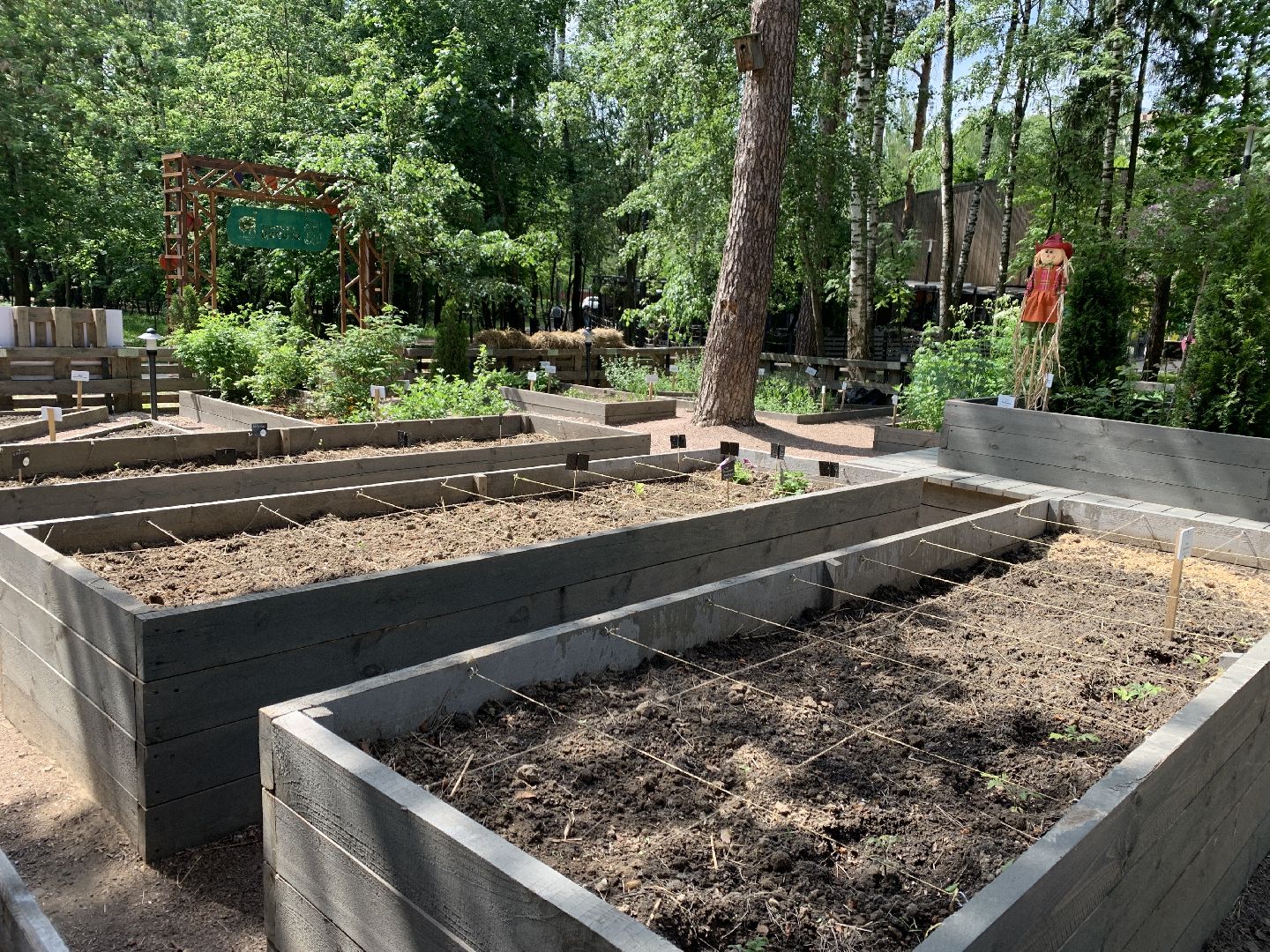 Балашиха, Подмосковье, благоустройство,Общественный огород, парки