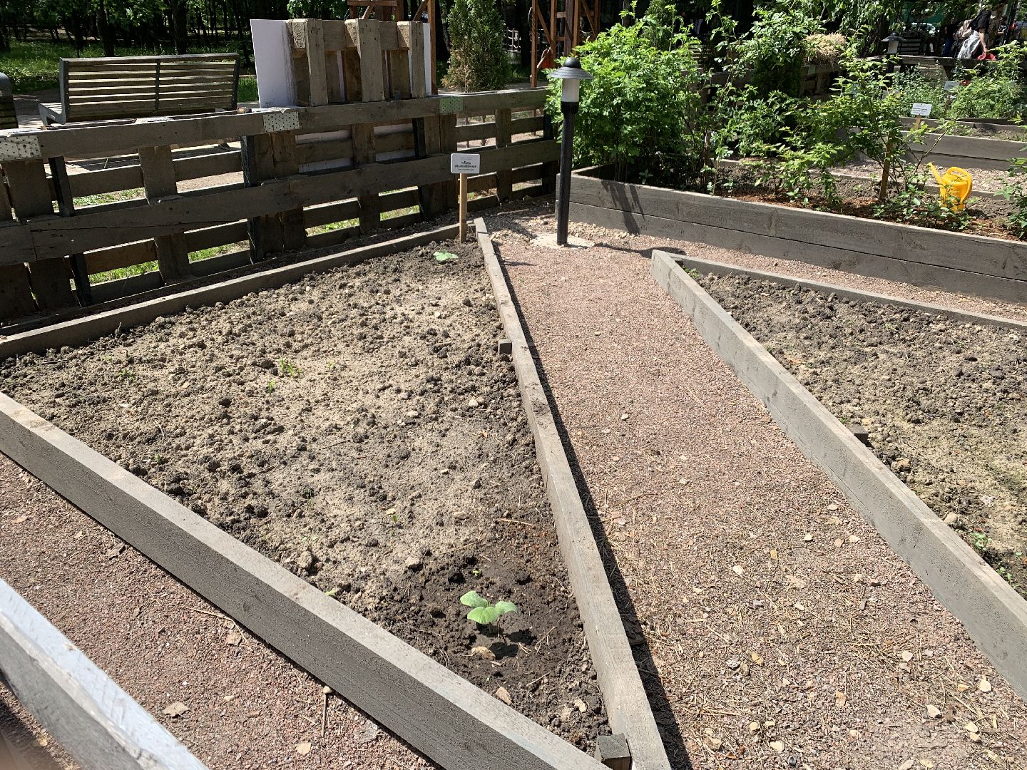 Балашиха, Подмосковье, благоустройство,Общественный огород, парки