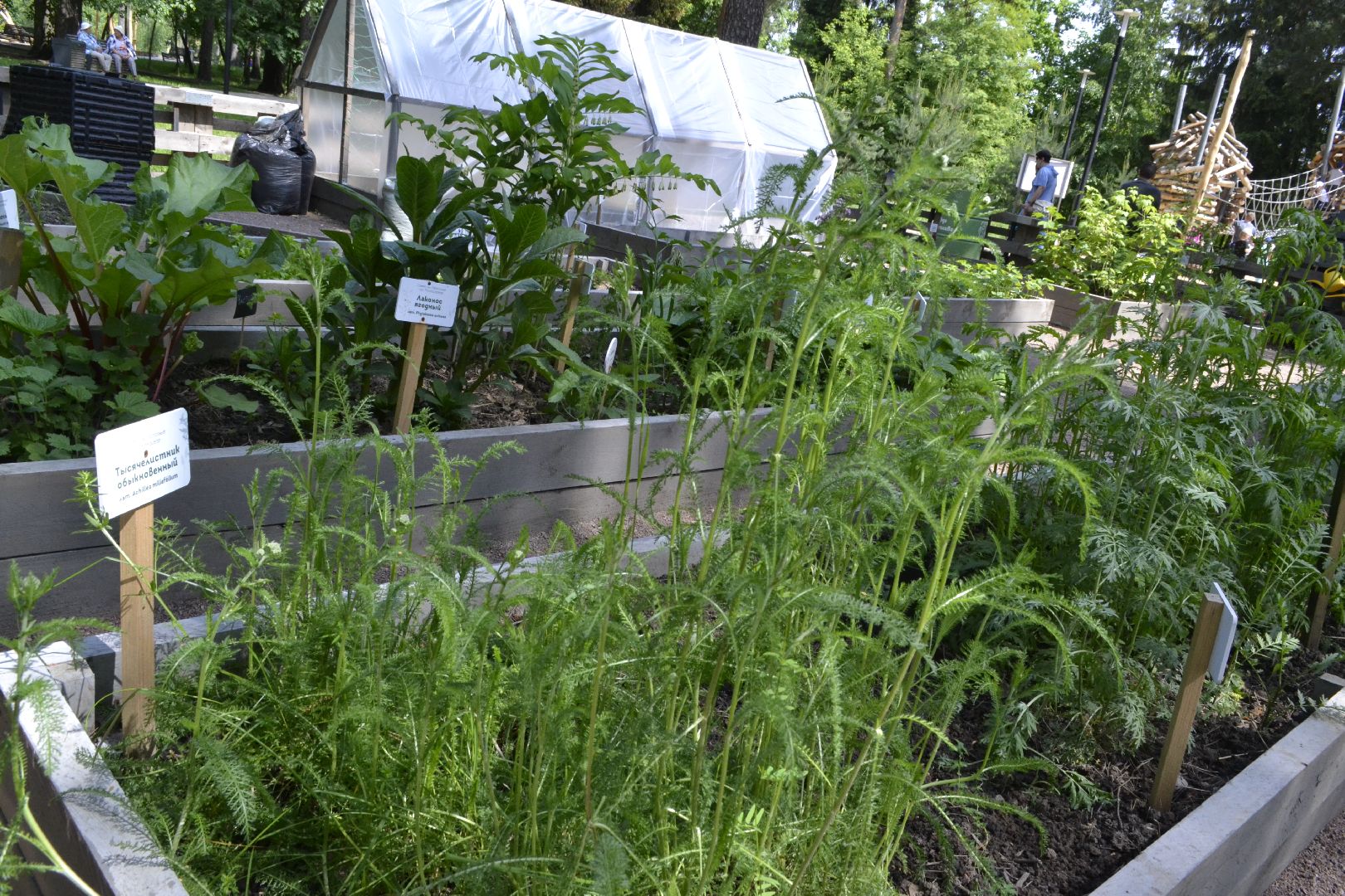 Балашиха, Подмосковье, благоустройство,Общественный огород, парки