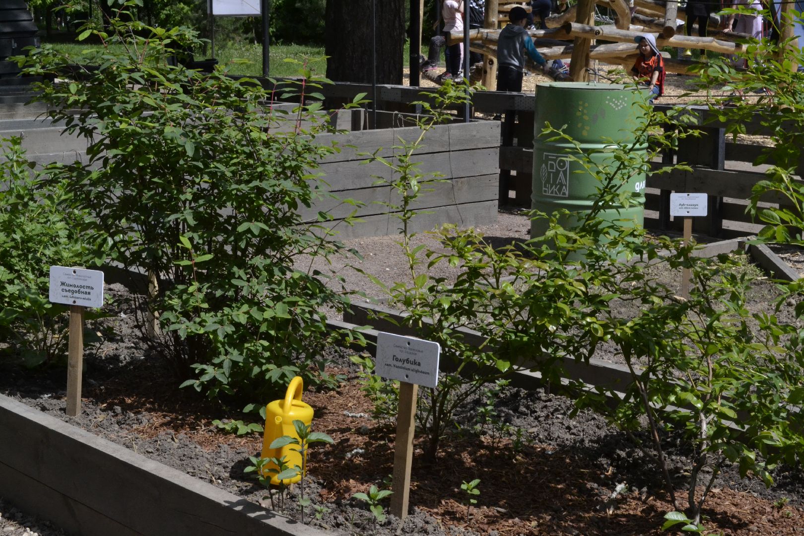 Балашиха, Подмосковье, благоустройство,Общественный огород, парки